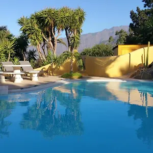 Don Miguel La Palma El Paso